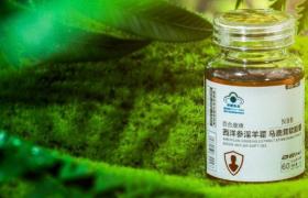 NBB马鹿茸软胶囊谁用过的用了好几天没啥效果